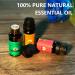 Essential Oil Set - 100% Pure Natural 6 Pack (Tea Tree Eucalyptus Lavender Orange Peppermint Lemon) - 10ml Each | Aromatherapy Essentials - Buy Online on GoSupps.com