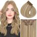 Vivien Clip in Extensions Real Hair Remy Extensions Real Hair Clip of course Extensions Clip Real Hair Hight Highlighted Ashblond #P27/60 55cm 135g/7PCS 22 inch-140g-Clip 1-1 CP #27/60
