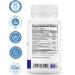 2nd Springs ALA & ALC Complex + Brain Support Complex Bundle | Energy Focus Memory Cognitive Performance Metabolism & Daily Wellness - Buy Online on GoSupps.com
