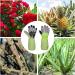 MBNVBNM Cleaning gloves Dishwashing And Cleaning Gloves Silicone Rubber Sponge Gloves Household Scrubber Kitchen Cleaning Tools - Buy Online on GoSupps.com