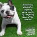 Pro-Kleen Artificial Grass Cleaner for Dogs and Pet Friendly Cruelty Free Disinfectant with Deodoriser 4 in 1 (10:1 Super Concentrate Makes 10 Litres) (1 Litre (Lavender)) 1 l (Pack of 1) - Buy Online on GoSupps.com