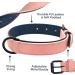 Didog Soft Padded Leather Dog Collar - Adjustable Durable Pink for All Sizes (XL: 40-50 cm) - Buy Online on GoSupps.com