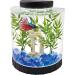 Tetra LED Half Moon Aquarium Kit 1.1 Gallons - Ideal for Bettas - Black - 4.6 x 9.1 x 9.9 Inches (29049) - Buy Online on GoSupps.com