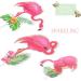Tropical Flamingo Cupcake Toppers - Buy Online on GoSupps.com