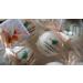SpaPure Amazing Grace Bath Bombs - Handmade in the USA with Natural Ingredients - XL Fizzies for Dry Skin - Organic Shea & Cocoa Butter - Individually Wrapped - Buy Online on GoSupps.com