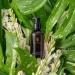 True Botanicals Organic Pure Radiance Body Oil | Clean Non-Toxic Natural Skincare - 3.9 fl oz | 114 ml - Buy Online on GoSupps.com