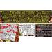 Myojo Ippeichan Yakisoba Pan-fried noodles 135g x 12 pieces - Buy Online on GoSupps.com