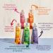 Re-Harvest Provisions Smoothie Pops 5 Pack - Frozen Fruit + Vegetables + Superfoods | Dairy-Free, Vegan, Gluten-Free | Anti-Inflammatory | Eco-Friendly | 1.6oz ea - Buy Online on GoSupps.com