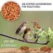 Flourworms Dried 1kg - Premium Insect Snack for Birds Fish Reptiles & Rodents | All-Year-Round Bird Feed & Squirrel Food - 6.5L (1 Pack) - Buy Online on GoSupps.com