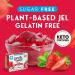 Simply Delish Strawberry Jel Dessert - Sugar Free, Non-GMO, Gluten Free | 0.7 OZ (2 Pack) - Buy Online on GoSupps.com