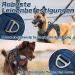 Rabbitgoo Tactical Dog Harness for Small Dogs - Adjustable Widened Handles Durable & Wear-Resistant Metal Buckles - Ideal for Hiking (S Blue) - 1 Pack - Buy Online on GoSupps.com