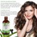 Rosemary Oil for Hair Growth & Skin Care - 60ml Natural Essential Oil for Thicker Fuller Hair Nourishes Scalp & Eyelashes - Buy Online on GoSupps.com