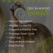 Viori Dry Shampoo Powder - Vanilla Coconut | Fast-Absorbing Volumizing Odor-Neutralizing for Oily Hair | Long-Lasting International Shipping - Buy Online on GoSupps.com
