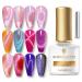 BORN PRETTY Rainbow Cat Magnetic Eye Gel Polish Omnipotent Pink Holographic 9D Cat Magnetic Gel Nail Polish Sparkle Gel Polish with Magnetic Stick Nail Art Varnish 7ML 1PC pink holographic cat magnetic gel