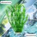 Ctpeng XXL Aquarium Decorations - Set of 3 Plastic Plants for Fish Tanks | 55cm 10cm 8cm - Buy Online on GoSupps.com