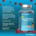 Multivitamin Gummies Kids with Omega 3 6 9 120 Vegetarian Gummies Complex for Children with Vitamin A B12 C D and Zinc from Horbaach - Buy Online on GoSupps.com