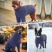 Iecoii Blue Dog Sweater - Cozy Turtleneck for Small to Large Dogs | Winter Clothing for Chihuahua French Bulldog Labrador & More - Buy Online on GoSupps.com