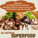 Cherie Sweet Heart 7 Mushroom Extract Powder USDA Organic Superfood Blend with Lion's Mane Reishi Cordyceps Maitake Shiitake Turkey Tail & Chaga Vegan Non-GMO Gluten-Free 3.5 oz Mushroom Blend 3.5 Ounce (Pack o  - Buy Online on GoSupps.com