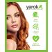Yarok Feed Your Roots Organic Mousse 8oz - Vegan Hair Mousse with Black Currant, Coconut Oil, Beet Root & Blueberries - Gluten, Sulfate, Alcohol & Paraben Free - Cruelty-Free - 1 Pack, 8 Ounce - Buy Online on GoSupps.com