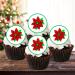 PRECUT Christmas Poinsettia Cupcake Toppers Christmas Edible Poinsettia Cake Decorations Christmas Cake Topper Xmas Cupcake Decoration Poinsettia Cake Decorations (12) - Buy Online on GoSupps.com
