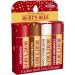 Burt's Bees Festive Fix Lip Balm Set - Peppermint, Salted Caramel, Cranberry Spritz, Shortbread Cookie (4 Pack) - Buy Online on GoSupps.com