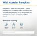 North American Herb & Spice Pumpkinol - 12 fl. oz. | Hormone & Prostate Support with Vitamin E & Sterols | Oreganol P73 Oregano Oil | Non-GMO - Buy Online on GoSupps.com