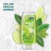 Duschda Lime Mint Shower Gel - 6x225ml Fresh-Energy Formula for a Refreshing Start - International Shipping - Buy Online on GoSupps.com
