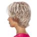 Buy Degenhardt Wig BR GGE Deluxe Plus | High-Quality Synthetic Hair in Copper Maroon & Brilliant Titanium Grey | International Shipping Available - Buy Online on GoSupps.com