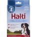 Company of Animals: Halti Headcollar & Double Ended Training Lead Pack suitable for Small Medium and Large dogs - Buy Online on GoSupps.com