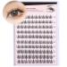 100pcs Cluster Lashes D Curl Individual Eyelashes DIY Lash Clusters Wispy Cluster Eyelash Extensions Manga Look Lahes Idividual Custer DIY Eyelashes Extensions by Goddvenus Natural Clusters-QC