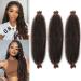 LPARMJIT Springy Afro Twist Hair 24 inch 3 Prevents Kinky Marley Twist Lubrication Hair for Soft Butterfly Locs Pre-Fluffed Afro Twist Hair extensions (Pack of 3) T1b/30) 24inch (Pack of 3) T1b/30