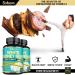 Pure White Kidney Bean Capsules - 4 Month Supply - 9050mg - Carb & Starch Blocker - 120 Count - Buy Online on GoSupps.com