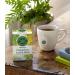 Organic Dandelion Leaf & Root Herbal Tea - Caffeine Free, 16 Wrapped Bags | Traditional Medicinals - Buy Online on GoSupps.com