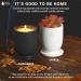 Concrete Cement Candle Planter | Aromatherapy Soy Candles | 8 Oz Black Sandalwood | Strong Scented Home Decor | 50 Hour Burn Time - Buy Online on GoSupps.com