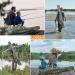 Lixada Portable Folding Fishing Rod Case 100cm Army Green - Fishing Pole Reel Storage Bag - Buy Online on GoSupps.com