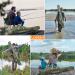 Lixada Portable Folding Fishing Rod Case - 130cm Army Green | Fishing Pole Storage Bag & Organizer - Buy Online on GoSupps.com