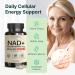 VINATURA NAD Supplement Nicotinamide Riboside with Resveratrol - Advanced NAD+ Supplement with TMG and Urolithin A for Women and Men - 30 Vegan Capsules - Buy Online on GoSupps.com