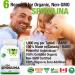 Plantvital Organic Spirulina Tablets (120 Tablets) 1000mg Per Tablet - Mega Source of Chlorophyll Protein. Vitamins/Minerals Antioxidant Rich Superfood. Vegan Non-GMO Gluten Soy Dairy Free! Made in Canada 120 count (Pack of 1) - Buy Online on GoSupps.com