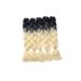 5 Packs Braids Extensions Braiding Hair Extensions Crochet Hair Synthetic Hair Kanekalon Colorful 5pcs-24"-500g Black to Light Blonde