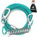 Dog reading cable purchase festival 9 m dog chain for outside tension rope for dogs with absorbing spring up to 56.7 kg pet cable for garden or camping 9m blue
