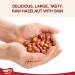 Tropgo Raw Hazelnuts - 500g - Packed Fresh Large Hazelnut - Premium Quality Nuts for a Healthy Heart High in Fibre & Minerals - Perfect for Snacking - Buy Online on GoSupps.com