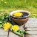 Frontier Co-op Dandelion Root 1lb - Cut & Sifted  Dried for Loose Tea  Coffee Alternative - Caffeine-Free  Powder for Supplements - Buy Online on GoSupps.com