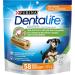 DentaLife Daily Oral Care Dental Dog Treats for Small Medium + Mini Breed Dogs - Buy Online on GoSupps.com
