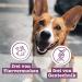 Buy Chewies Maxi Dog Lizard Meat Stripes - 100% Kangaroo Grain-Free & Sugar-Free - 150g Air-Dried Treats for Dogs - International Shipping Available - Buy Online on GoSupps.com