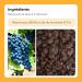 Black Raisins 1 Kg | dehydrated | Seedless and sugar free | Ideal to combine with chocolate or as a snack | Large size raisins | resealable bag 1 kg - Buy Online on GoSupps.com