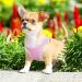 Heele Soft Mesh Dog Harness for Small & Medium Dogs | Adjustable Reflective Breathable Pink - Perfect Puppy Gear - Buy Online on GoSupps.com