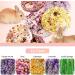 Buy Abiz 6-Pack Natural Luffa Rabbit Cake Toys for Guinea Pigs & Small Pets - Perfect for Hamsters Rabbits Rats & Chinchillas - Buy Online on GoSupps.com
