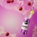 Remedy Kombucha Tea - Cherry Plum - Sparkling Live Cultured Drink - Naturally Sugar Free Soft Drink - Prime Probiotic Drink for Gut Health - 12 x 250ml Cherry Plum 12x250ml - Buy Online on GoSupps.com
