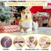 Pattepoint Dog Snood - Noise Protection & Anxiety Relief Ear Muffs for Dogs - Yellow, Medium - Buy Online on GoSupps.com