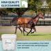 PURICA Vegan Equine Glucosamine - Joint Supplement for Enhanced Movement (5kg (Pack of 1)) 5 kg (Pack of 1) - Buy Online on GoSupps.com